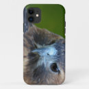 Search for red tailed hawk iphone cases Photography