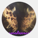 Search for catfish stickers Aquarium