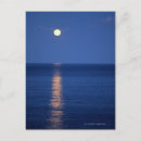 Recherche de clair de lune photographie Extérieur