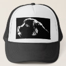 Search for magnetic hats Cool