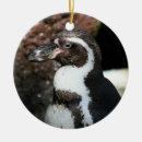 Search for penguins ornaments Bird