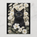 Recherche de fleurs noires et blanches cartes postales Pour elle