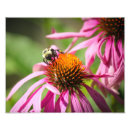 Search for bumble bee posters Purple