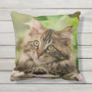 Recherche de portrait chat coussins Mignon