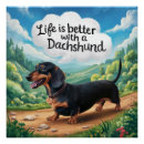Search for womens golf posters Dachshund bumper stikers