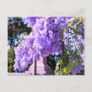 Recherche de princess cartes postales Violet