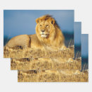 Search for african wrapping paper Wild animal