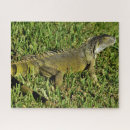 Recherche de lézard puzzles Mignon