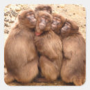 Search for grouping stickers Funny