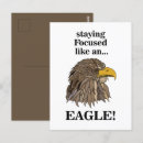 Search for eagle head postcards Bird