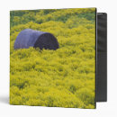 Search for regional binders Europe