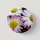 Recherche de marguerite rose badges Fleurs