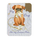 Recherche de petit magnets Chiot