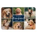 Recherche de stylisée magnets Moderne