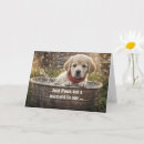 Search for cute yellow lab cards Dog