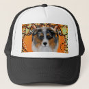 Recherche de bergers casquettes Amoureux des chiens