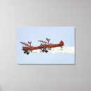 Search for aerobatic art Biplane