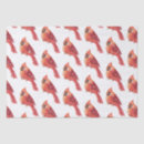 Search for cardinal tissue paper Modern