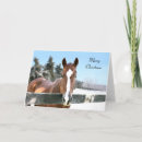 Search for equine holiday cards Merry