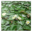 Search for lotus flower tiles Asia