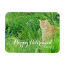 Recherche de gingembre magnets Chat