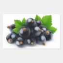 Recherche de cassis autocollants Frais