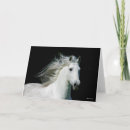 Search for bob cards Animal