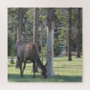 Recherche de alberta puzzles Le parc national banff