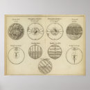 Search for moon map posters Maps