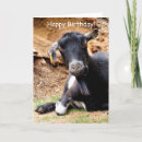 Search for goat cards Nature