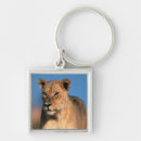 Search for panthera keychains Animal