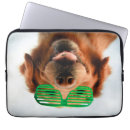 Search for tablet photography Dogs