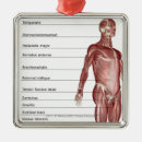 Recherche de corps humain ornements Partie