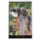 Search for dj gifts Kitty