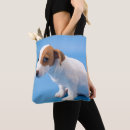 Search for one shot bags Horizontal