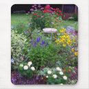 Search for coneflowers electronics Flower garden