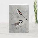 Recherche de perché vœux cartes Animal