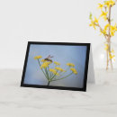Search for pollinators cards Wildlife