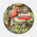 Search for backyard kitchen dining Cardinal