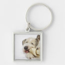 Recherche de appareils photo porteclés Regarder l'appareil photo