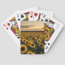 Recherche de terrain de jeux Tournesol