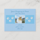 Recherche de rugueux cartes visite Sable