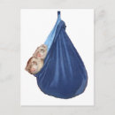 Recherche de le furet cartes postales Furets