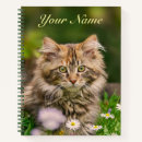 Search for cute fluffy cat notebooks Animal
