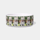 Search for westie dog bowls Terrier