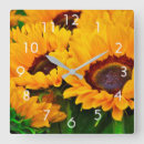 Recherche de tournesol orange horloges Floral