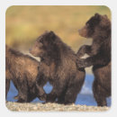 Search for steve stickers Baby