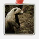 Search for conservative ornaments Hunting