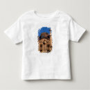 Search for gaudi tshirts Architecture