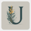 Search for initial u labels Letter
